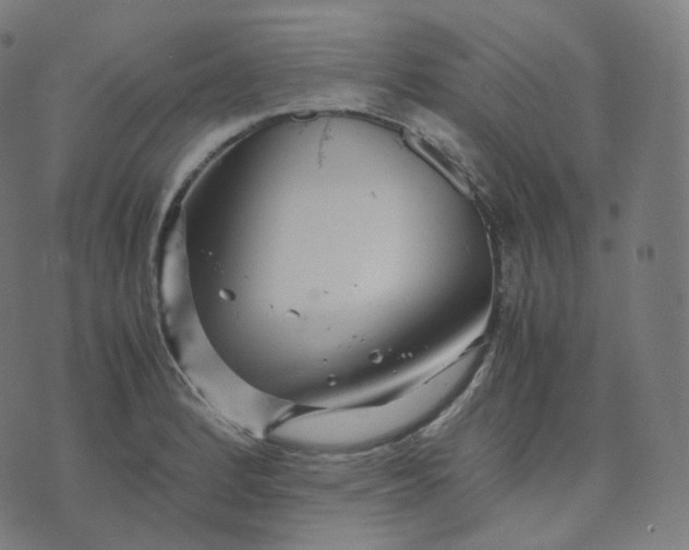 X0000070371184200606231640