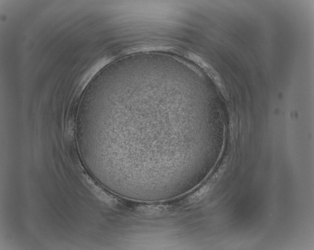 X0000070371185200606231640