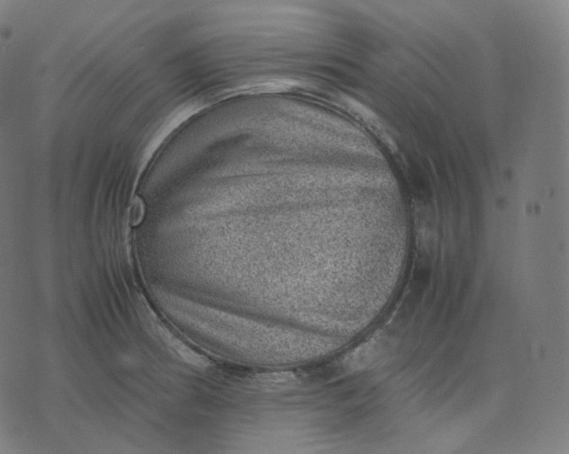 X0000070371186200606231640