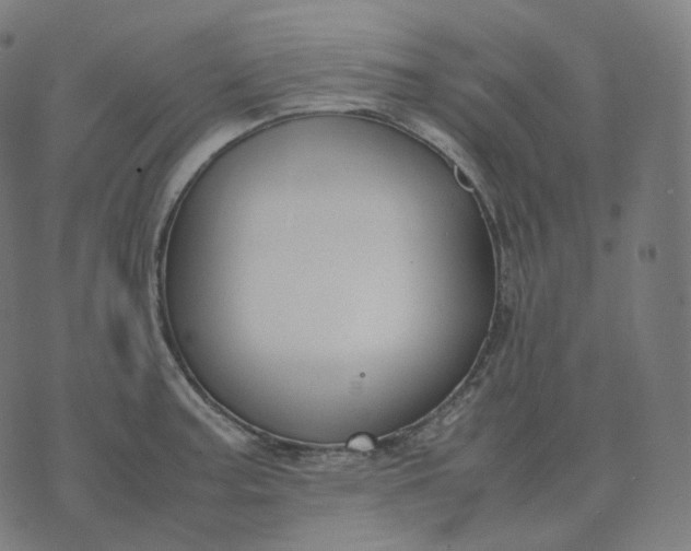 X0000070371187200606231640