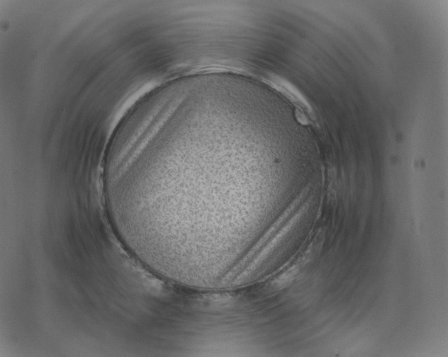 X0000070371190200606231639