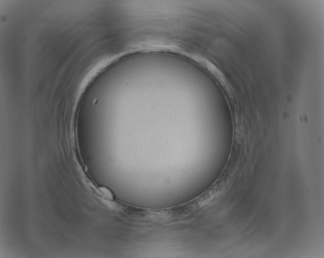 X0000070371191200606231639