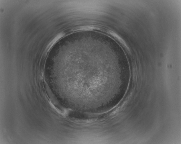 X0000070371193200606231639