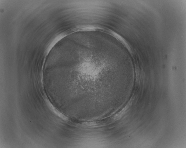 X0000070371194200606231639