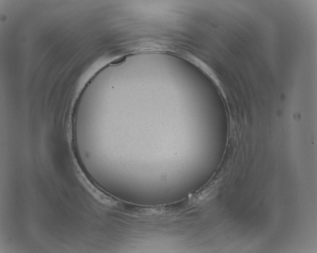 X0000070371195200606231639