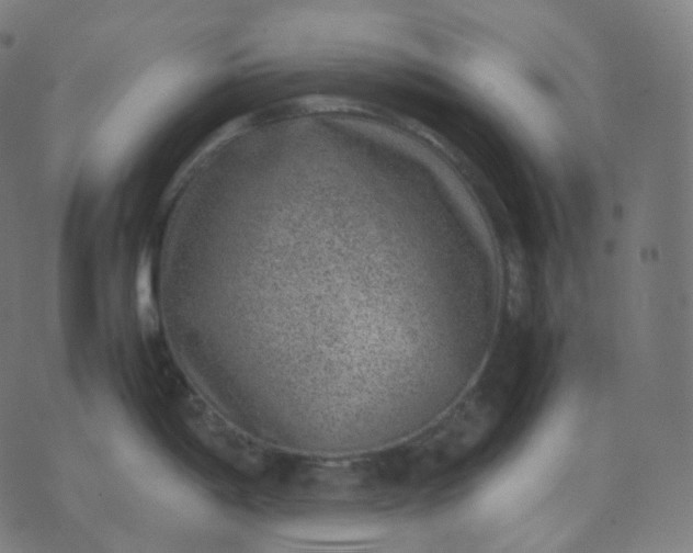 X0000070371198200606231639