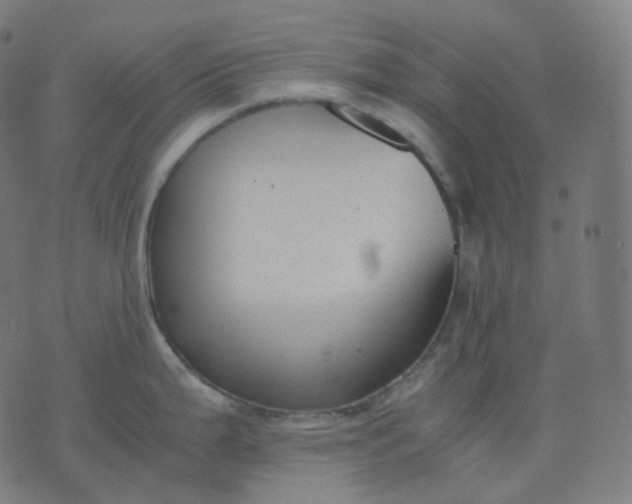 X0000070371199200606231639