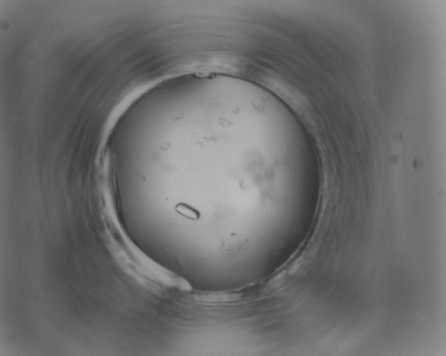 X0000070371200200606231639