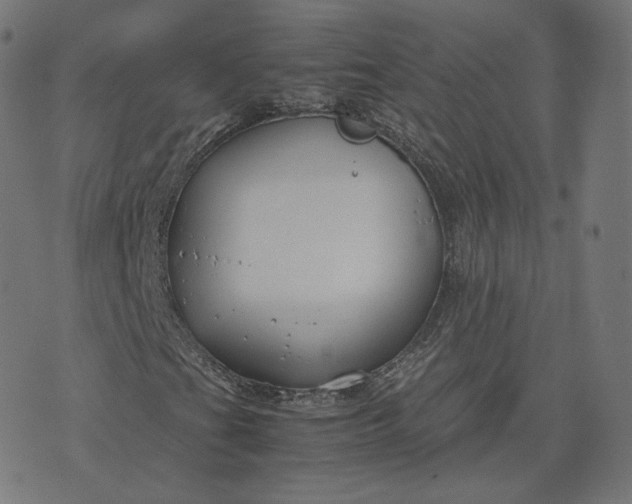 X0000070371201200606231639