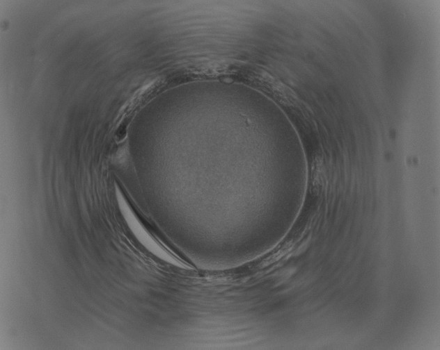 X0000070371202200606231639