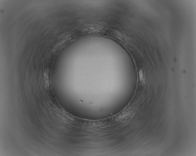 X0000070371203200606231639