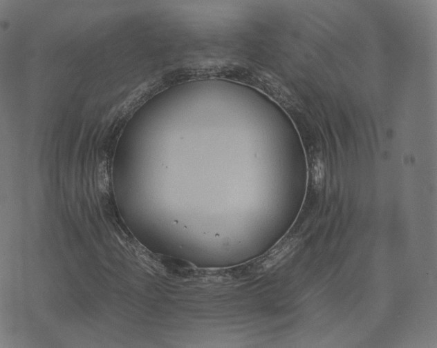 X0000070371204200606231639