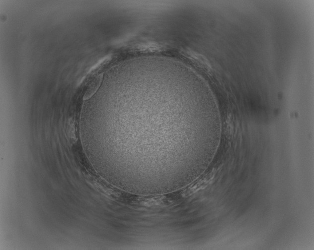 X0000070371205200606231639