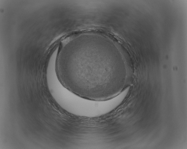 X0000070371206200606231639