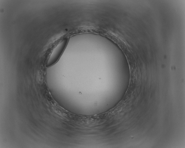 X0000070371207200606231639