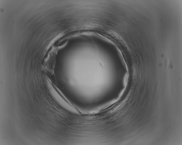 X0000070371210200606231639