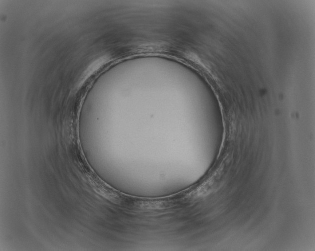 X0000070371211200606231639