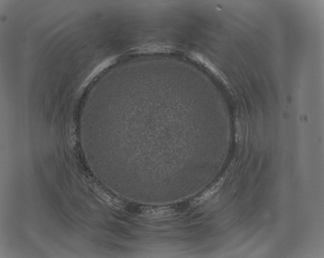 X0000070371213200606231639