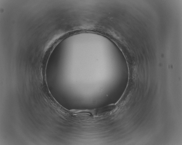 X0000070371214200606231639