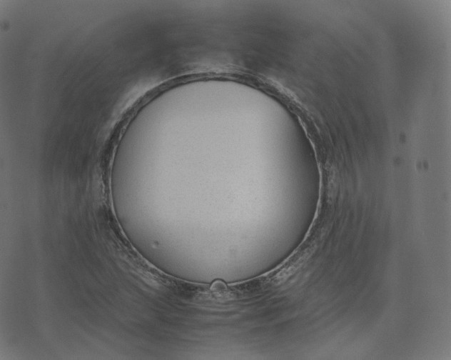 X0000070371215200606231639