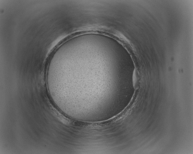 X0000070371216200606231639