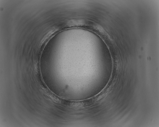 X0000070371217200606231639