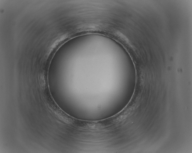 X0000070371218200606231639