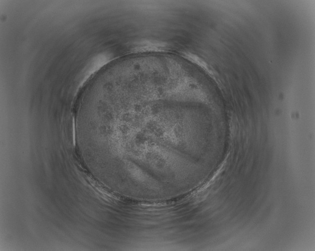 X0000070371219200606231639