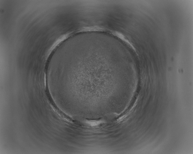 X0000070371221200606231639