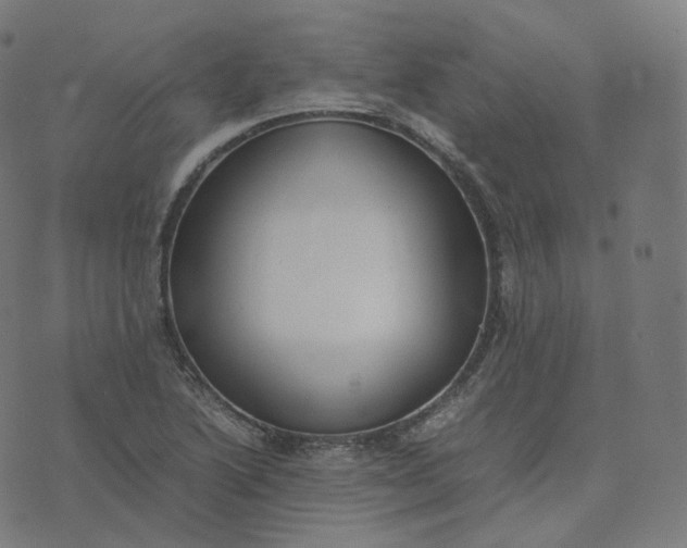 X0000070371222200606231639