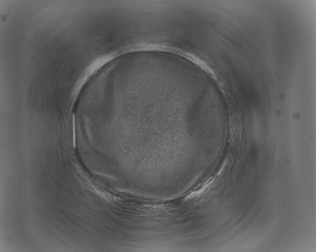 X0000070371223200606231639