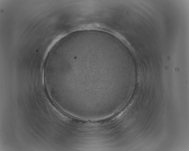 X0000070371224200606231639