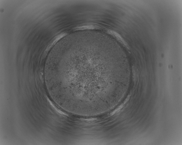 X0000070371225200606231639