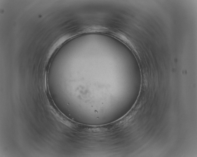 X0000070371227200606231639