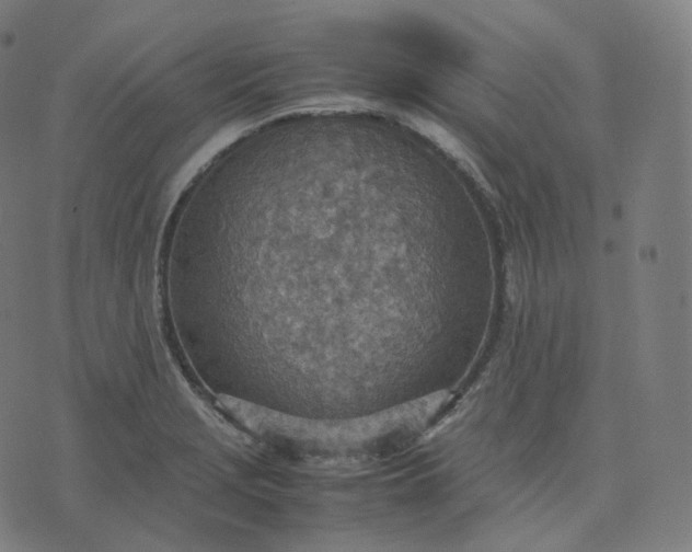 X0000070371229200606231639