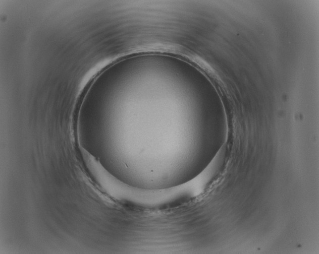 X0000070371230200606231639