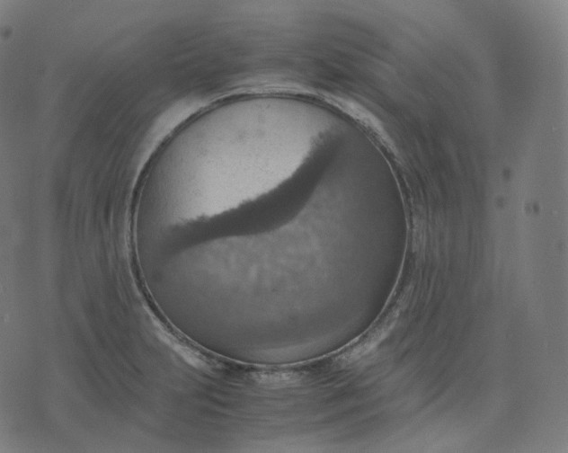 X0000070371231200606231639