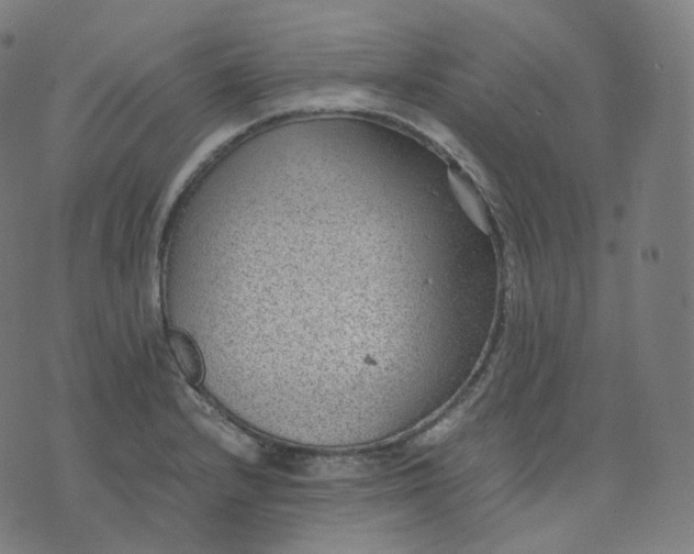 X0000070371232200606231639