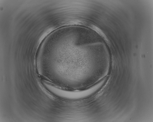 X0000070371234200606231639