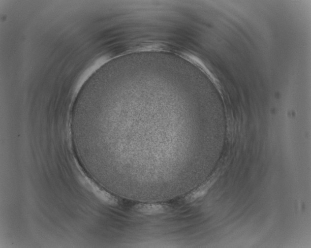 X0000070371235200606231639