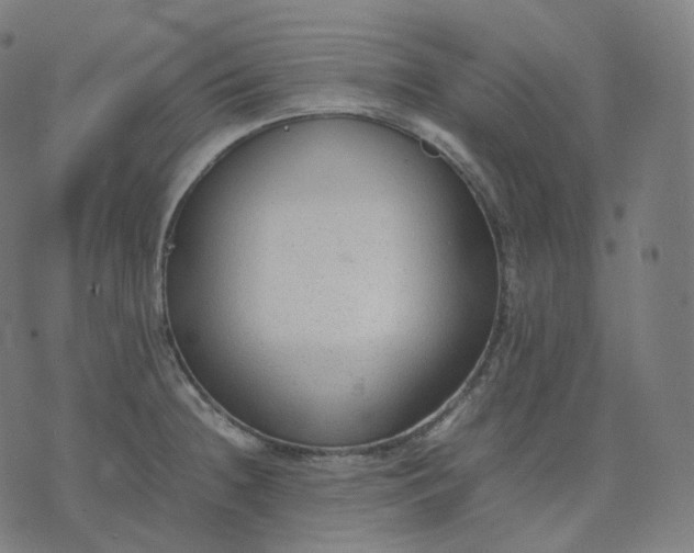 X0000070371236200606231639