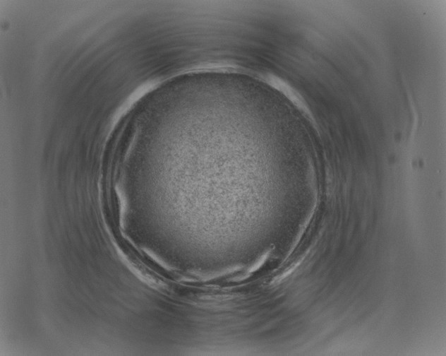 X0000070371237200606231639