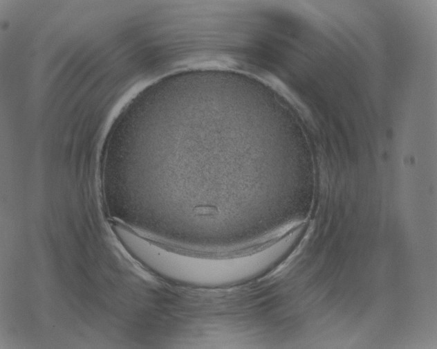 X0000070371240200606231639