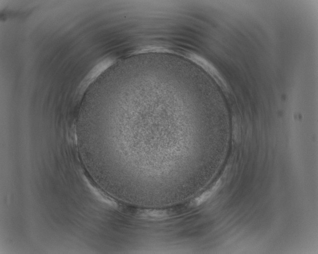 X0000070371241200606231639