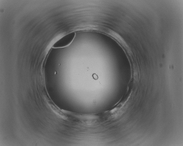 X0000070371242200606231639