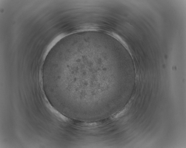 X0000070371243200606231639