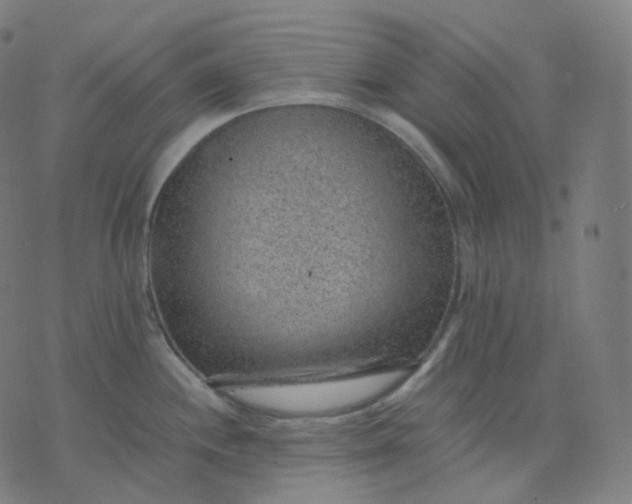 X0000070371244200606231639