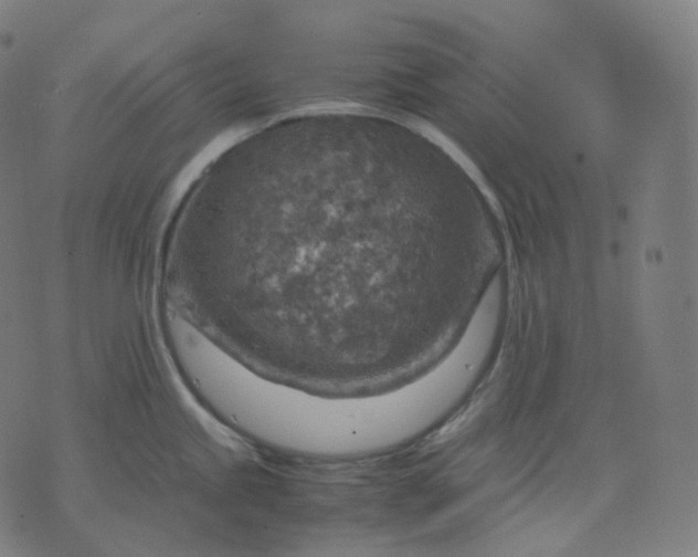 X0000070371245200606231639