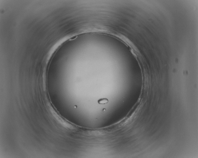 X0000070371246200606231639