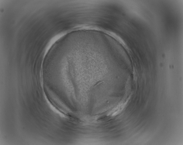 X0000070371247200606231639